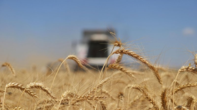 Россия не будет отменять пошлины на экспорт зерна, заявил Патрушев