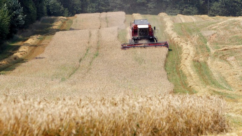 Совфед одобрил закон о страховой поддержке зерновой сделки