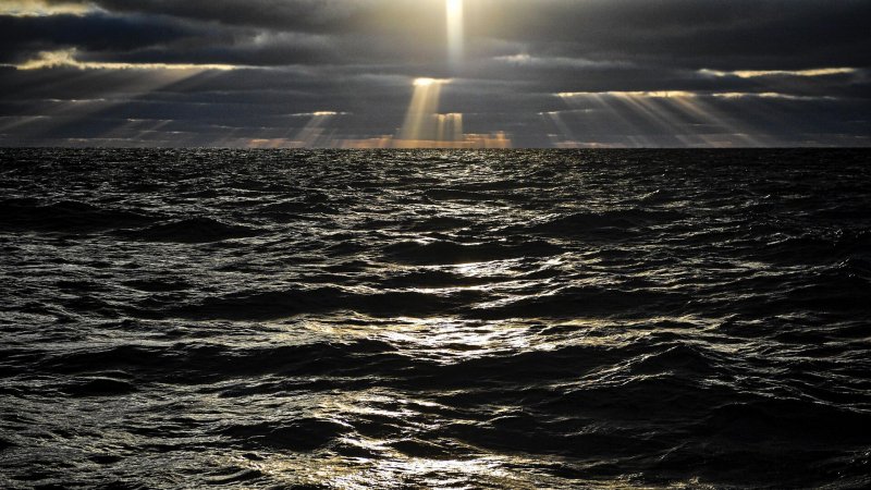 Ямальской шельфовой компании предоставили два участка недр в Карском море